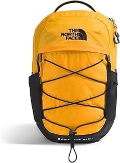 THE NORTH FACEunisex-adult Borealis Mini Backpack Daypack