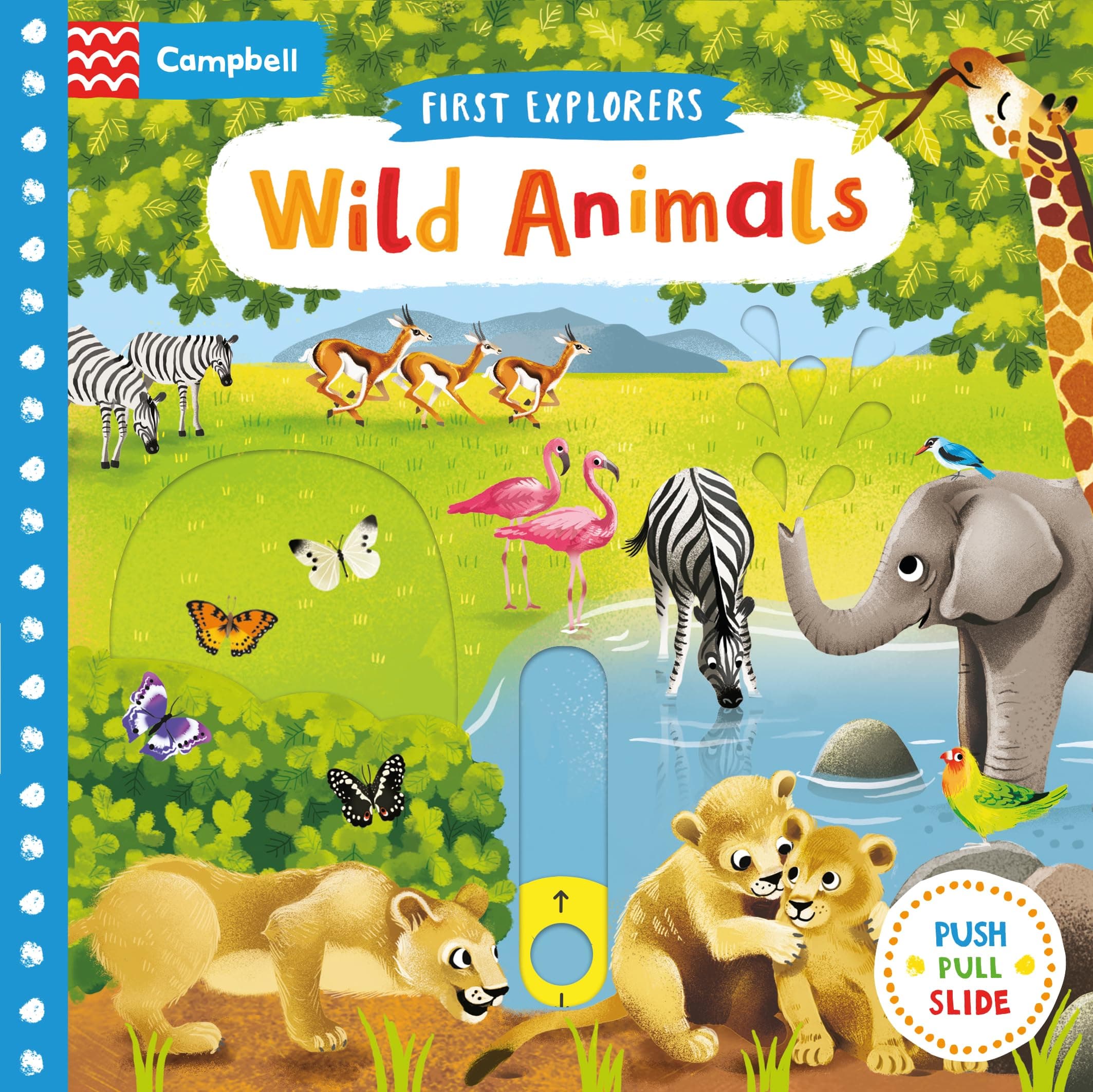 First Explorers: Wild Animals