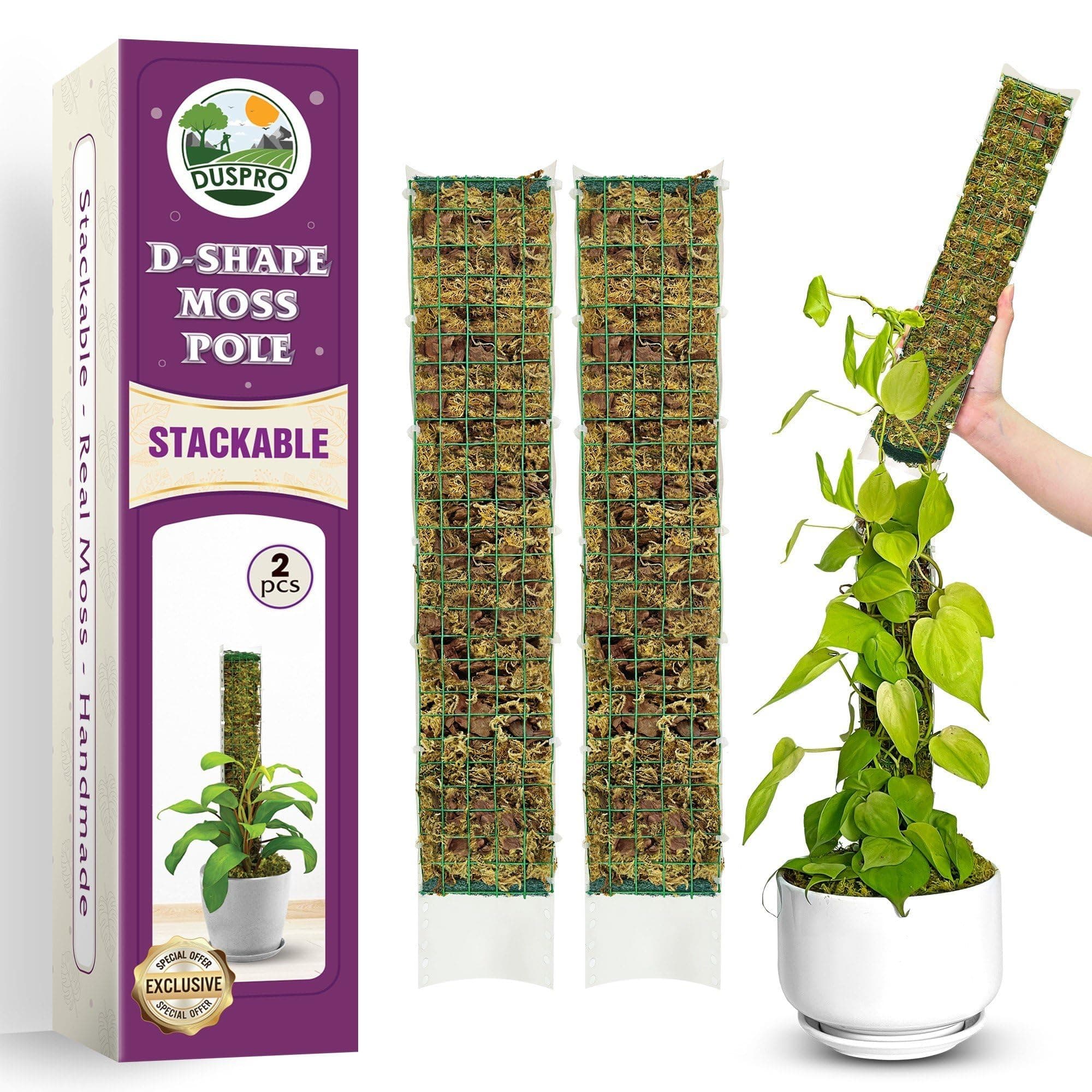 D-Shaped Plastic Moss Poles for Climbing Plants Monstera Stackable Moss Pole for Plants Moss Plant Pole Handmade Moss Stick for Indoor Plants Grow Upward 2 Pack 16.5 inches
