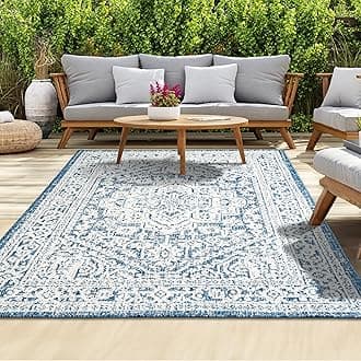 homeart Outdoor Rug - Easy-Clean, Durable, Stain-Resistant, Weather & UV Resistant Indoor & Outdoor Rugs for Porch, Deck, Balcony, Garden, Picnic and Patio | Medallion Blue, Cream - 80x150cmOEKO-TEX STANDARD 100