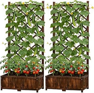 Raised Garden Bed with Trellis Wooden Planter Box Set of 2 Outdoor Wood Privacy Screen for Climbing Plant Planting Flower Patio Tomato Vegetable Herb Balcony Porch 29.5" L x 17.0" W x 67.0" H