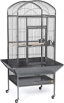 Medium Black Dometop Cage