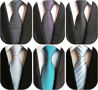 WeiShang Lot 6 PCS Classic Men's Silk Tie Necktie Woven JACQUARD Neck Ties