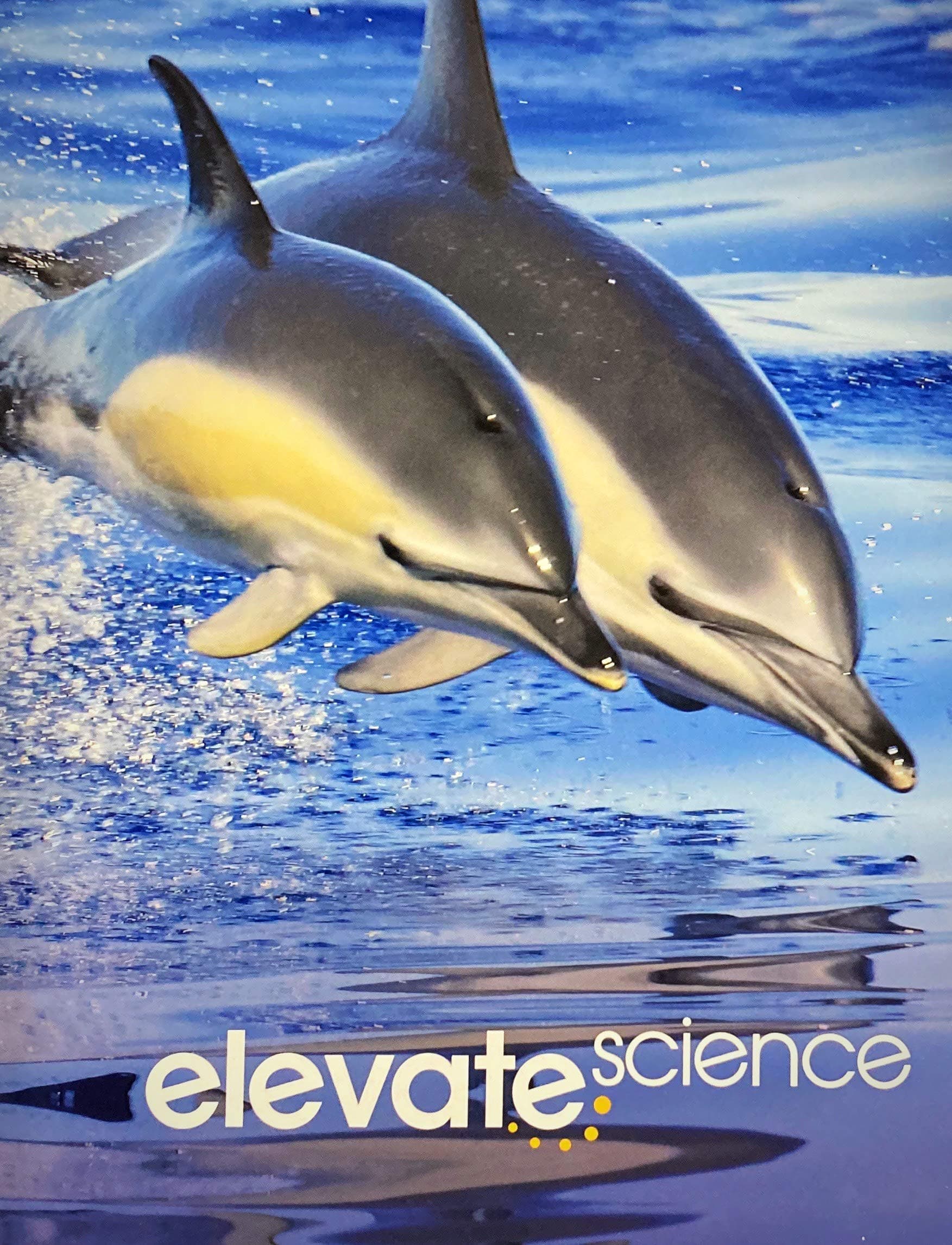 Elevate Elementary Science 2019 Student Edition Grade 1 Paperback – 15 Sept. 2017