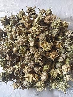 Ambe Ayurveda - Chhota Gokhru - Tribulus Terrestris - Small Caltrops Raw - 400gm