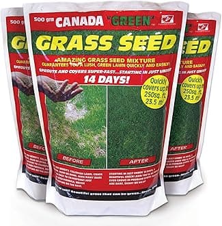 Canada Green - Lawn Seed 500g