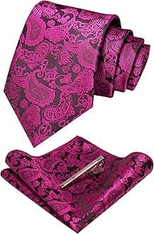 JEMYGINSMens Solid Color Paisley Necktie and Pocket Square with Tie Clip Sets