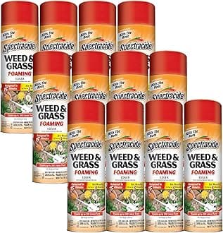 Spectracide Weed & Grass Foaming Edger (HG-96182) (Pack of 12)