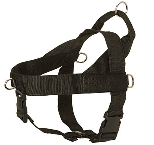 Pro Nylon Dog Harness for Pulling, Tracking, Training and SAR - Size L with "Service Dog" Velcro Patches
