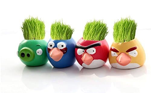 Grass Head Angry Birds