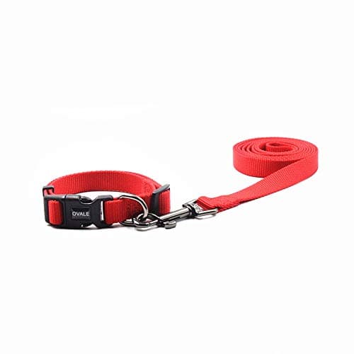 Olahibi Basic Dog Collar Leash Set,Durable Nylon Collar and 150CM Matching Lead for Small Dogs.(S, Red Set)