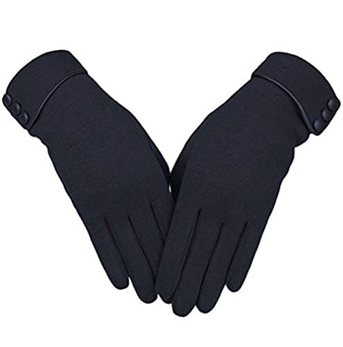 Winter Warm Gloves Touch Screen Gloves Windproof Lined Thick Gloves for Women (Black)