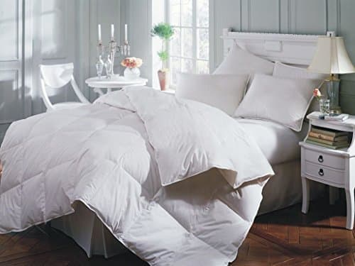 Downright Astra Down Alternative Comforter (Queen 86"x86")