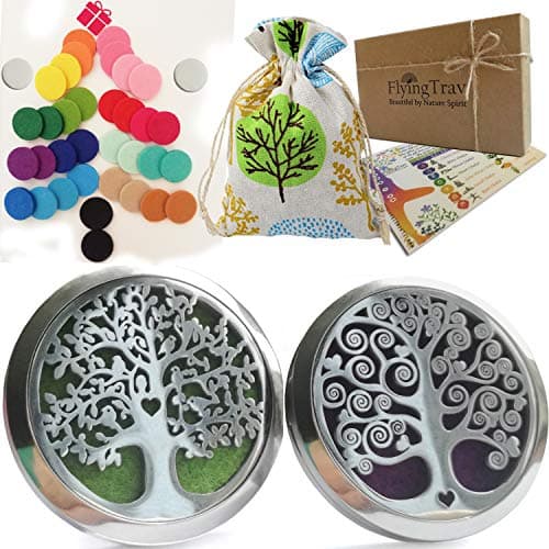Essential Oil Car Diffuser Aromatherapy - 35mm Stainless Steel Diffuser Locket Vent Clips 2 Pack Unique Design Gift Set
