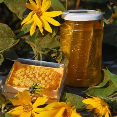 500g Combhoney
