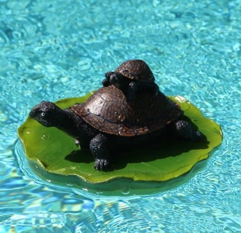 Brown Shell Double Turtle Floater On A Lily Pad