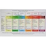 Autonomic Nervous System Table – Laminated Card