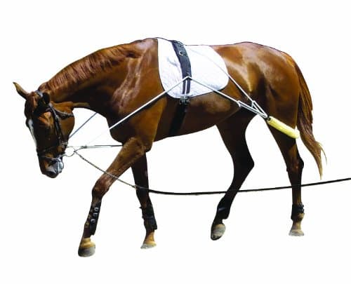 PESSOA Training Aid Essential Lunging Tool