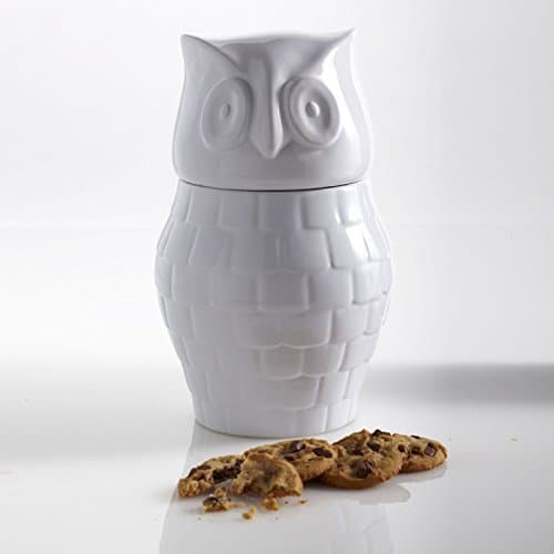 Hootie Cookie Jar