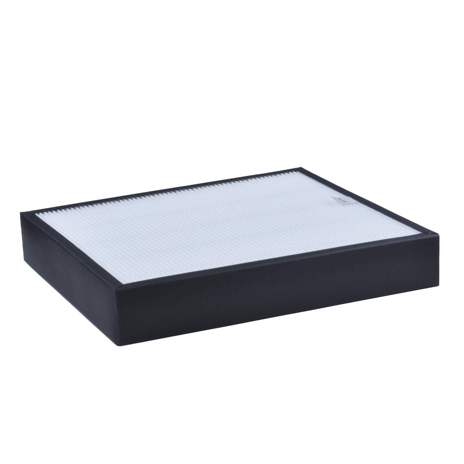 MolgocT1FTX0069 Replacement Projector Filter for Eiki LC-XT6.