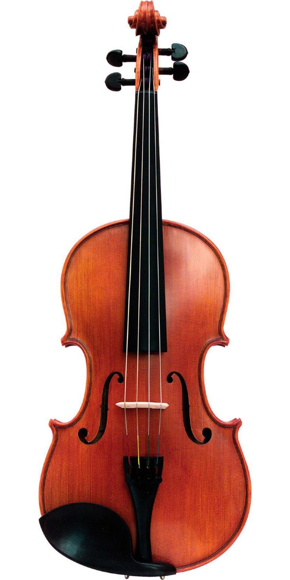 Karl Willhelm Model 55 Viola 15