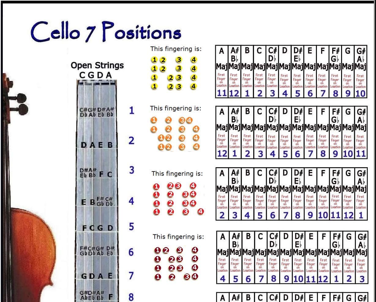 CELLO 7 HAND POSITIONS SMALL CHART