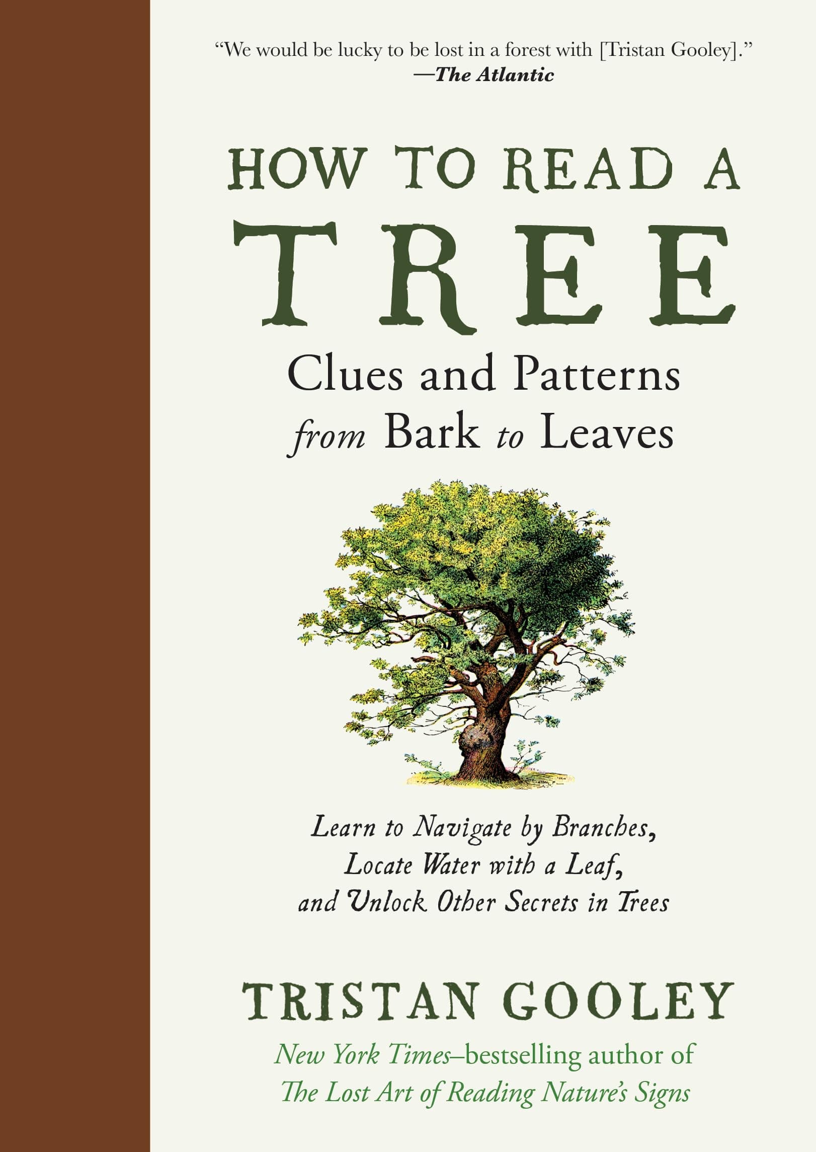 The Experiment How to Read a Tree: Clues and Patterns from Bark to Leaves