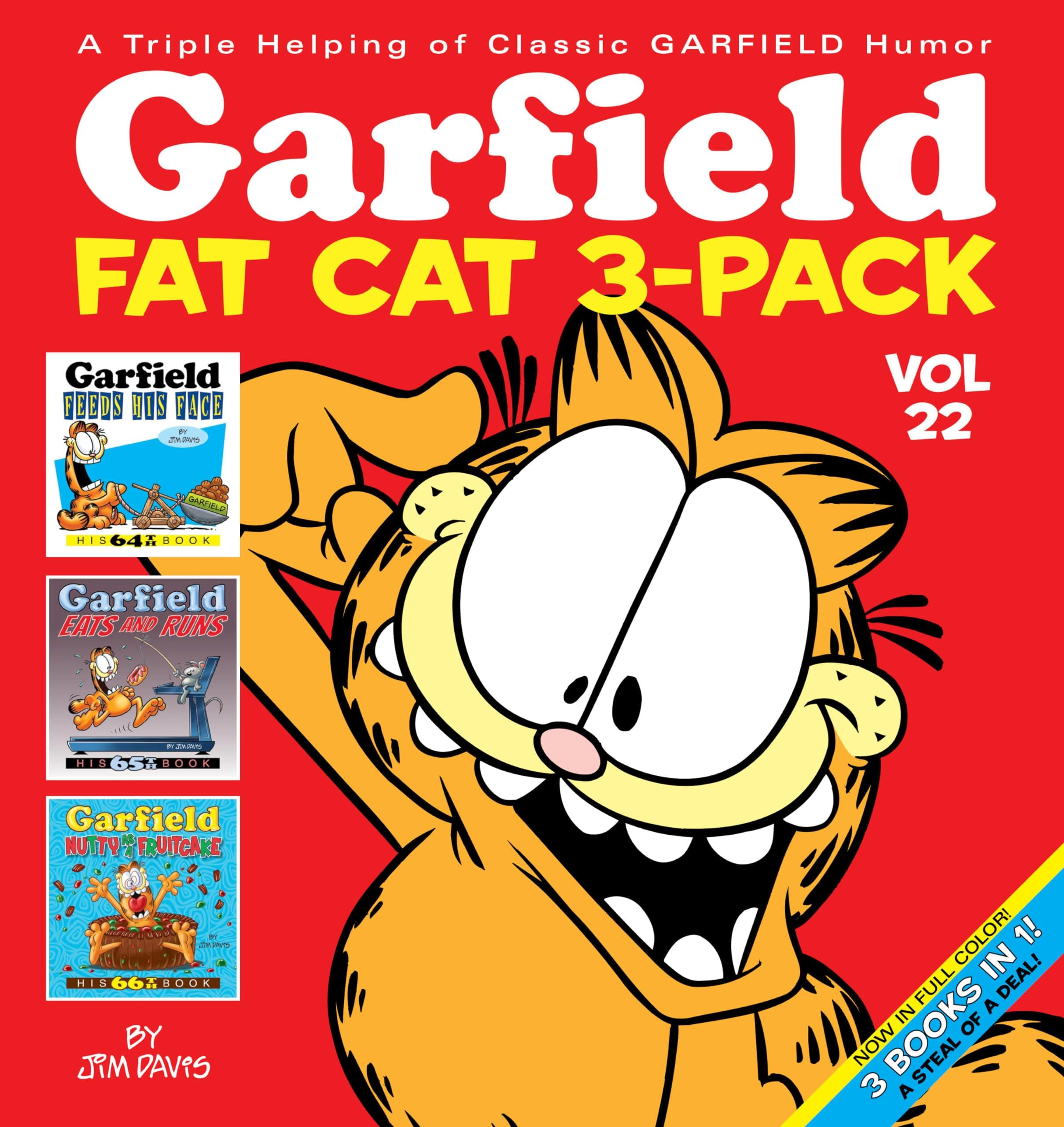 Garfield Fat Cat 3-Pack #22