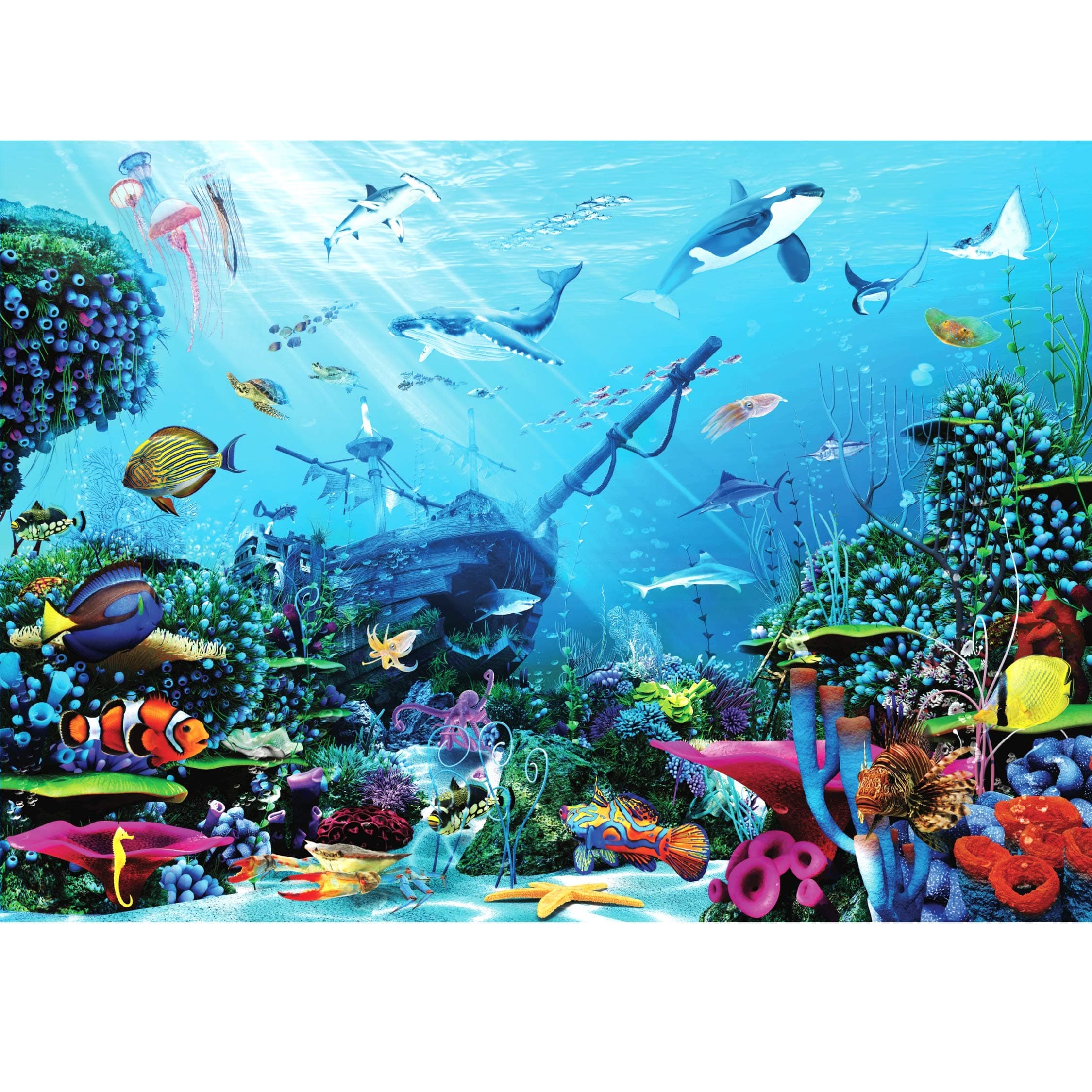 Underwater Adventure