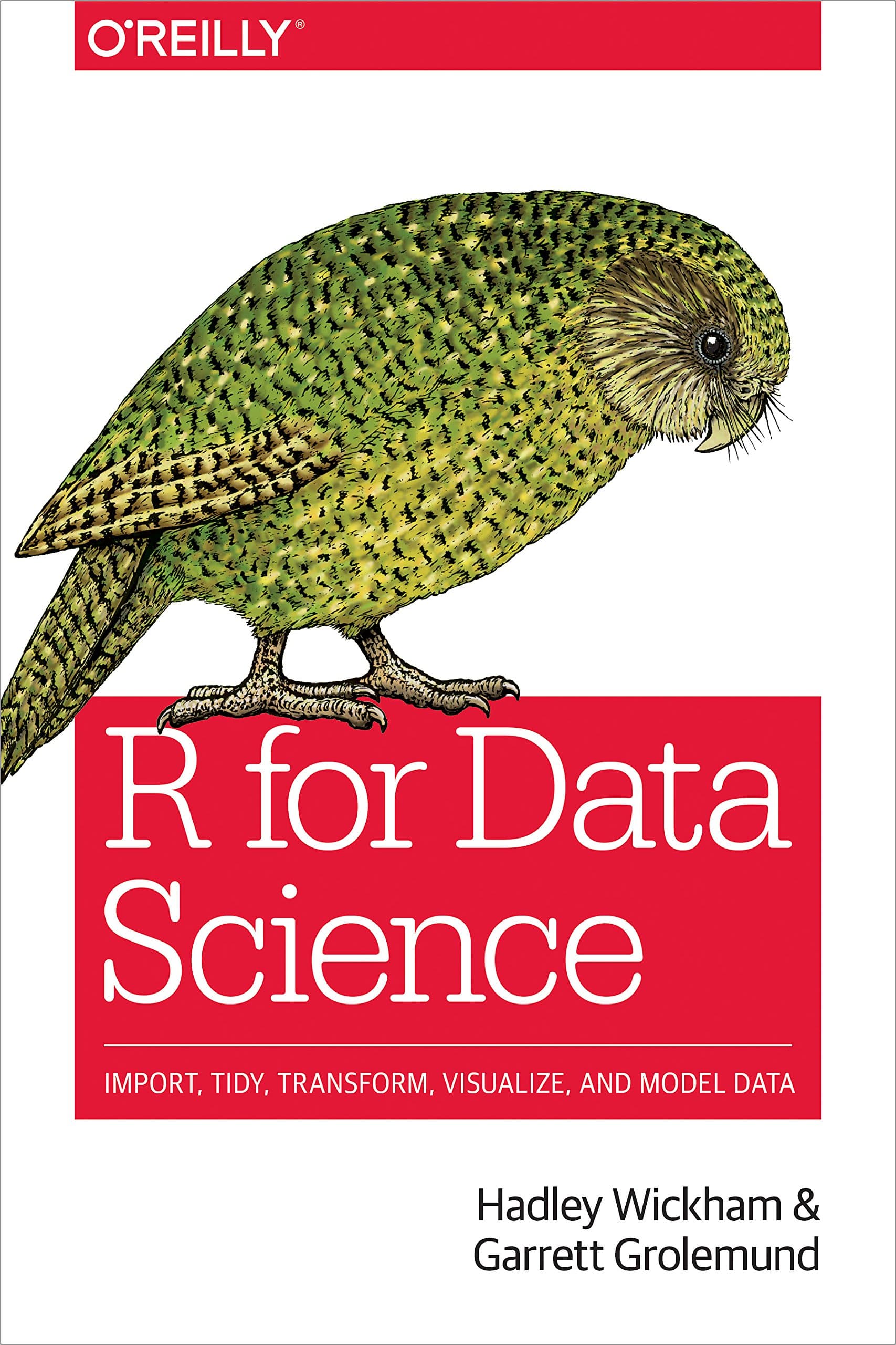 R for Data Science: Import, Tidy, Transform, Visualize, and Model Data Paperback – January 10, 2017